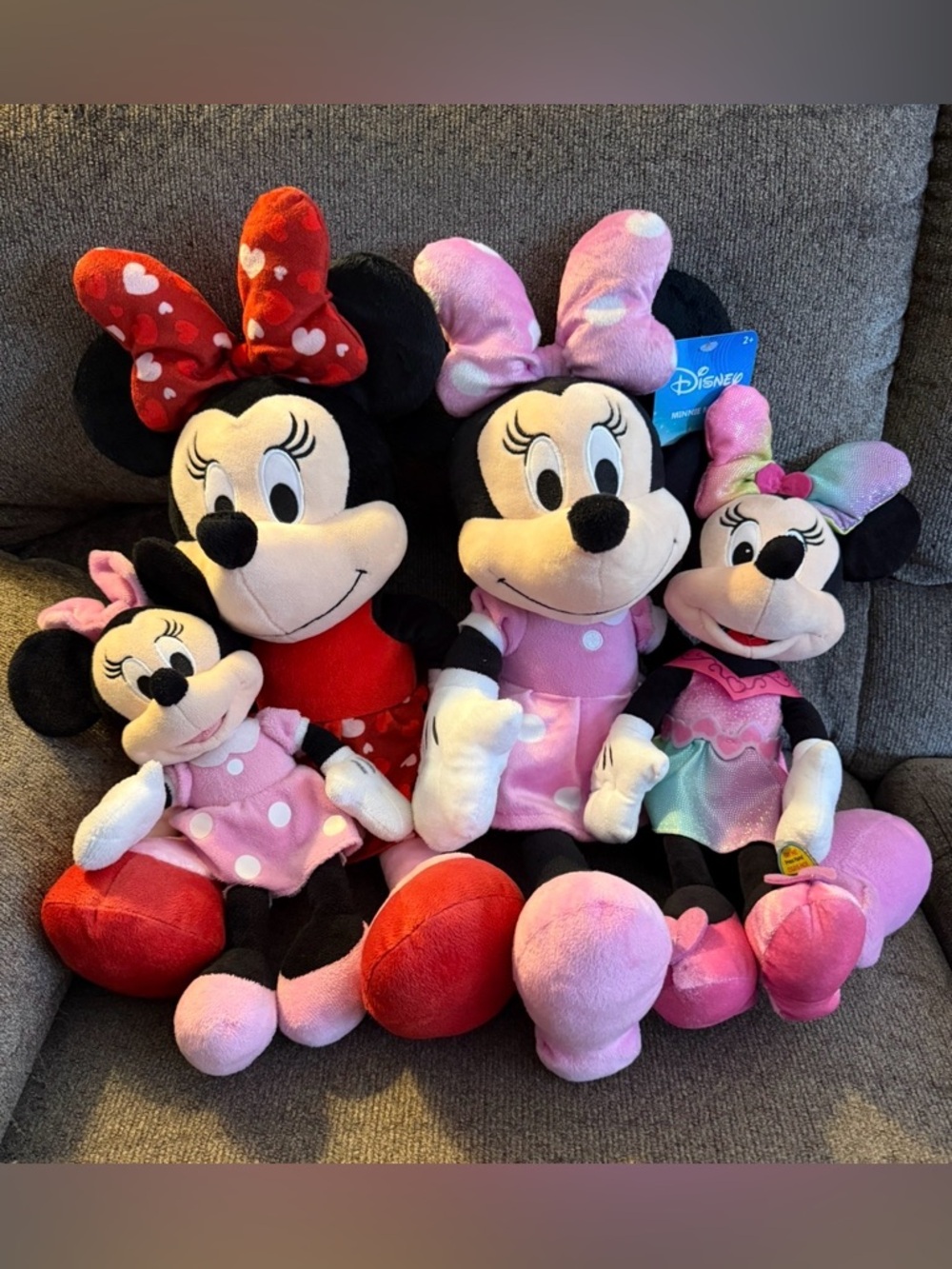 Minnie Mouse bundle